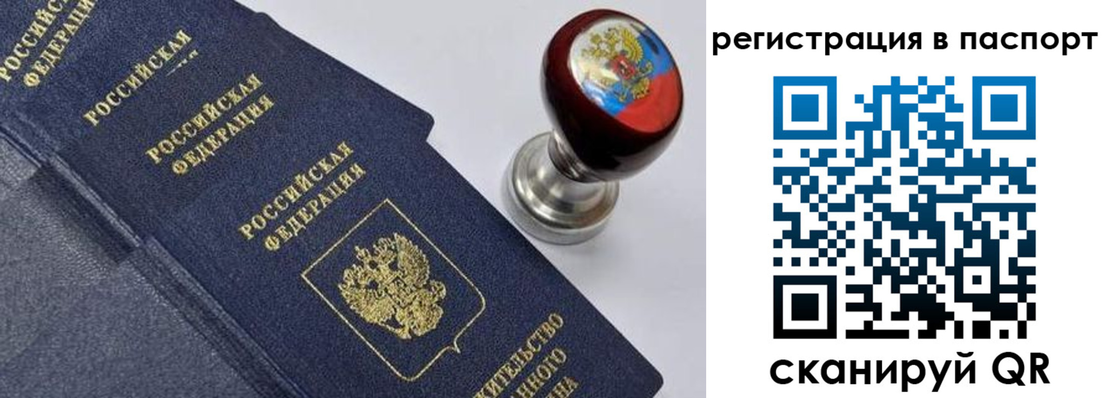 прописка поиск в Архангельской области